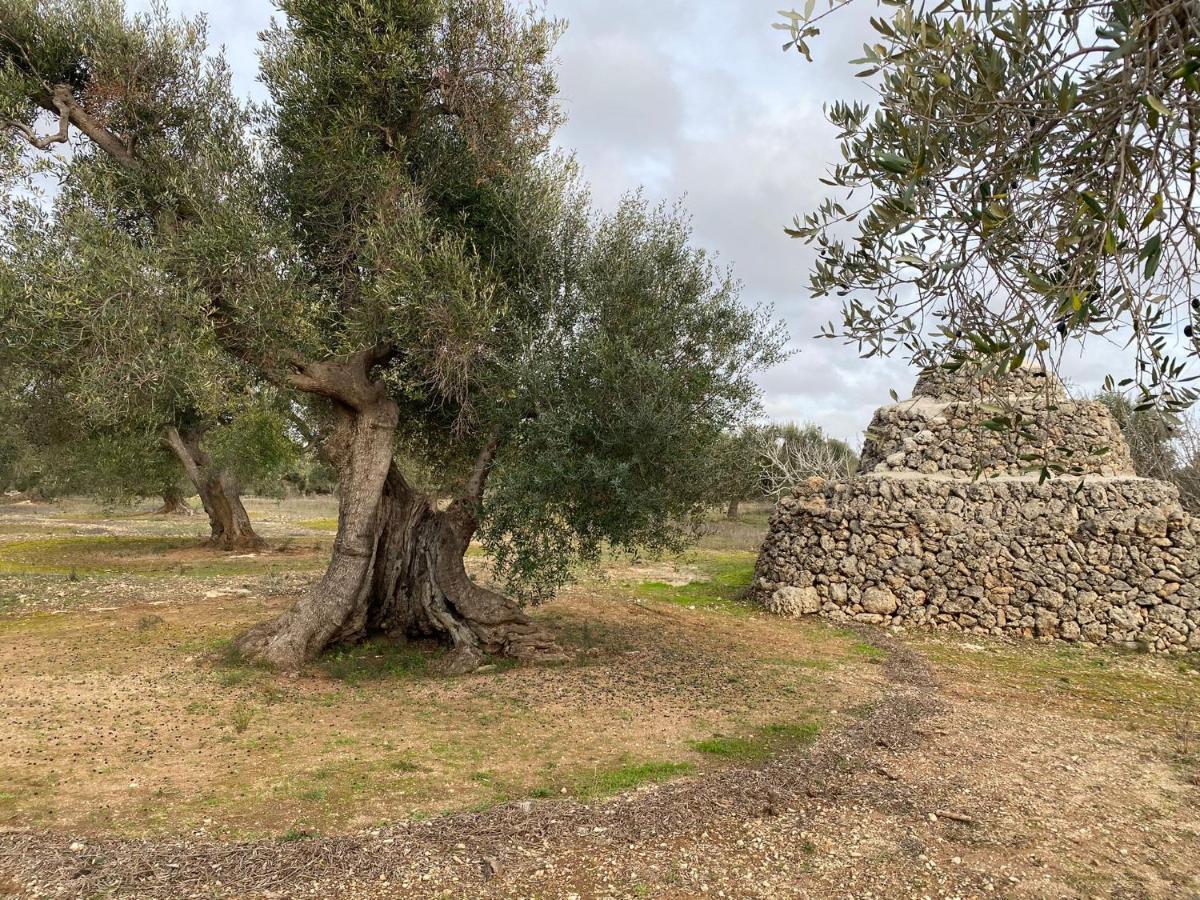 Casa Vacanze Lisa توريه أوفو المظهر الخارجي الصورة